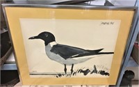 "Laughing Gull" Watercolor, Signed