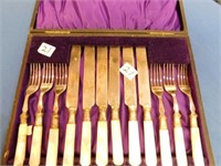 Boxed Set-Silver Plate -Mother of Pearl Handles