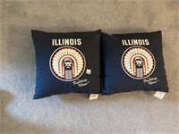Illini Pillows