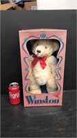 Winston bear in the box