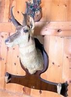 antelope mount gun rack