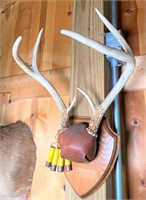 6 point buck rack mount