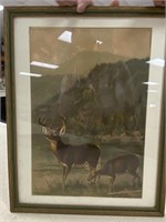 15" x 19" Early Framed Deer Print