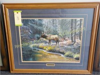 ELK PICTURE