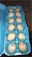 1 Doz Fert Lemon Blue Frizzle Serama Eggs * Show