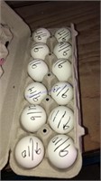 1 Doz Fertile Ayam Cemani Eggs * Show Stock