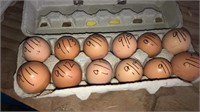 1 Doz Fertile Lavender Orpington Eggs * Show Stock