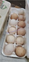 11 Fertile Banty Eggs