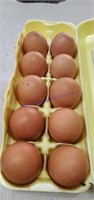 10 Fertile Copper Maran Eggs