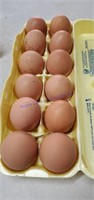 1 Doz Fertile Dark Brown Egg Layer Eggs