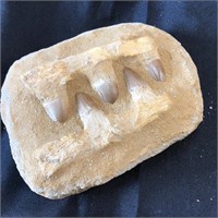 Online gems and fossils etc #111