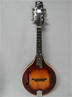 The Flat Iron, signed Steve Carlson mandolin,