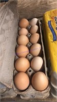 4 Doz Large Brown Eating Eggs
