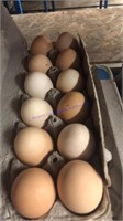 5 Doz Large Brown Eating Eggs