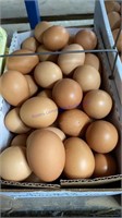 5 Doz Basket  Small Brown Eating Eggs