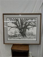 1980-The Landmark Tree 552/950
Paul Calle