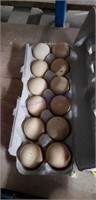 1 Dozen Fertile Guinea Eggs