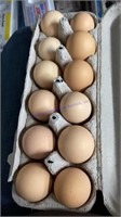 1 Doz Fertile Jersey Giant & Lavender Orp. Eggs