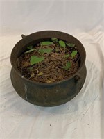 Antique Cast Iron Pot / Planter