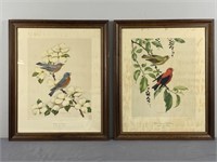 Irving Bird Lithographs
