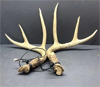 Nice set of antlers