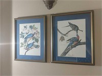 Pr Pigeon Framed Prints & Wall Sconce