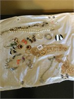lot of  jewelry-necklaces, earrings other