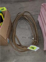 SECTION OF COATED ELECTRIC WIRE