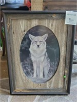 Framed Coyote Picture