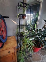 Metal Plant Rack, Plants Included