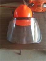 Tree trimmers helmet and visor with earmuffs