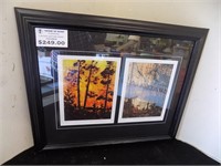 2 Numbered Tom Thompson Prints in 23" x 19" Frame