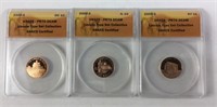 2009 S ANACS PR70 DCAM Lincoln Type Set Collection