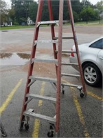 Werner double sided 6' ladder