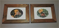 Pair of Framed Butterfly Photograghs