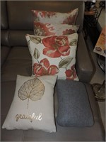 Collection of Assorted Throw Pillows