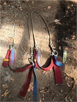 Safety Harness  red blue