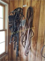 Driving Headstall and Reins