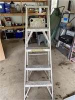 5' Aluminum Ladder