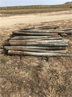 Assorted wood posts