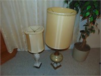 2 Decorative Lamps