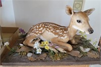 Full mount Bambi - This baby was not from hunting