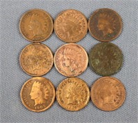 Group of 9 Indian Head Cents/ Pennies