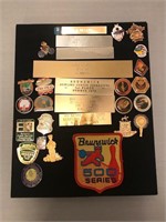 Assorted pins, badges, nameplates