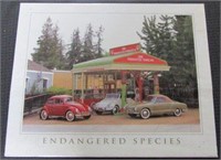 Endangered Species Volkswagen Poster