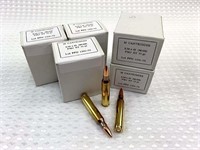 100rds of 5.56 PPU brass cased (5 boxes)