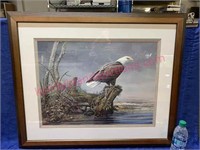 Large framed Eagle print by Zoellick