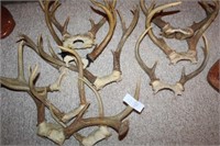 Ten Sets of Antlers