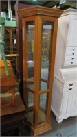 GLASS LIGHTED CURIO CABINET, MIRRORED BACK