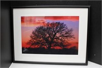 Framed Photograph of Tree and Amber Sky 18 x 24